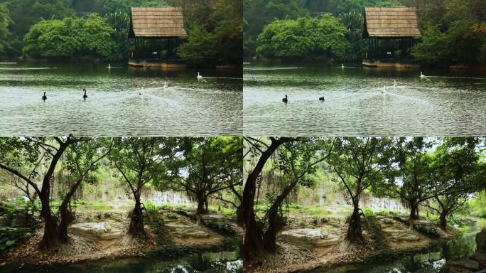 公园园林 河流江水 自然风光 生态环境