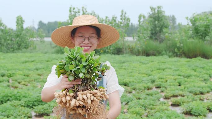 现挖花生