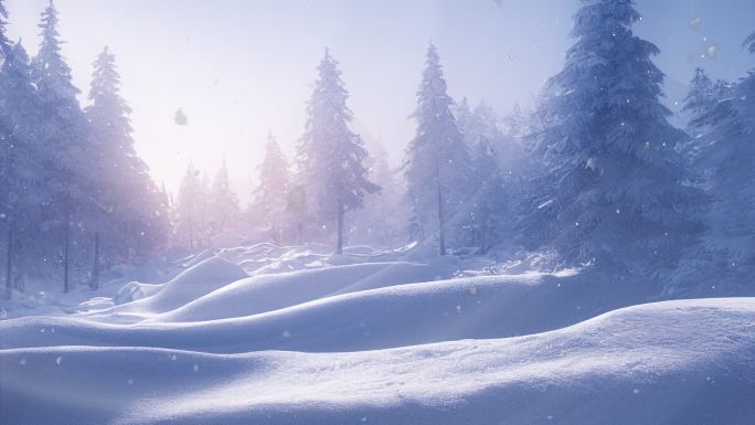 冬日阳光雪景
