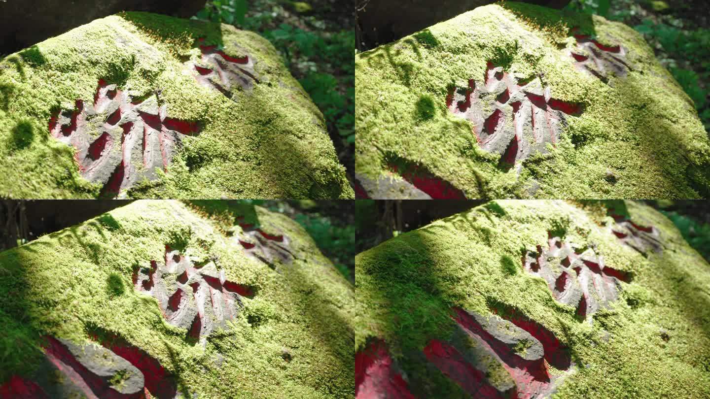 4k青苔苔藓巨石