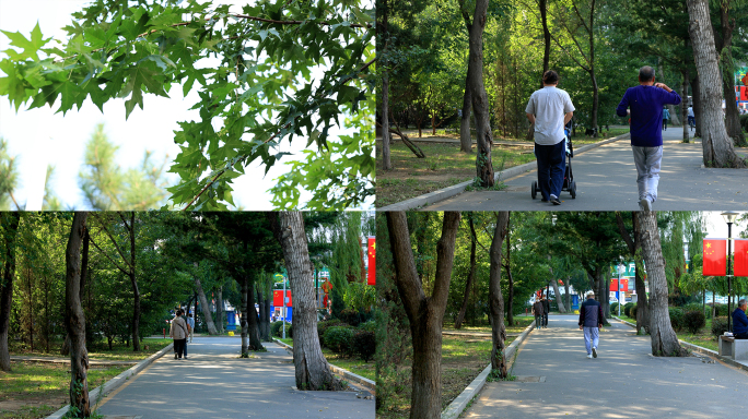公园晨练散步遛弯晚年生活