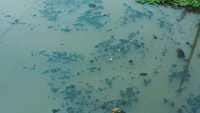 河流污染 环境污染
