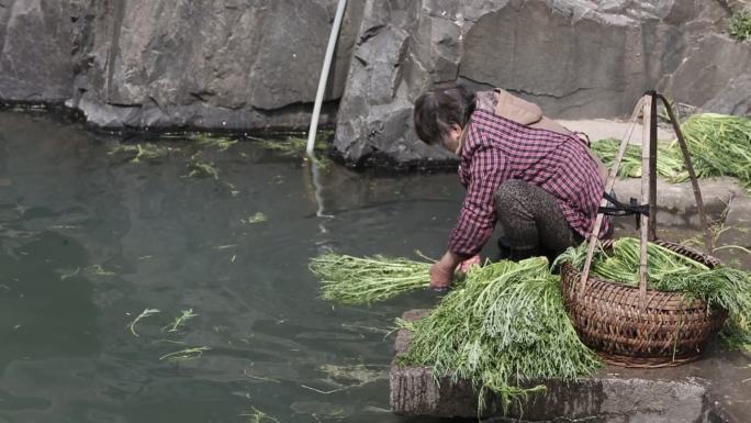 江南浙江诸暨农村清洗干菜咸菜实拍原素材