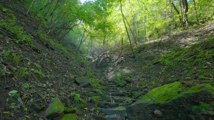 4k通往山顶的路登山爬山向往希望