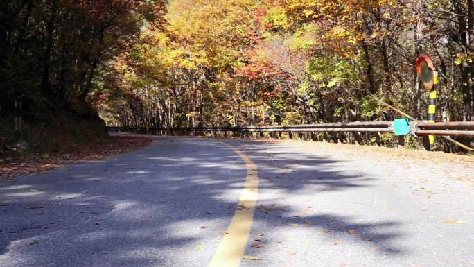 四川川西九寨沟金秋景区公路彩林秋色