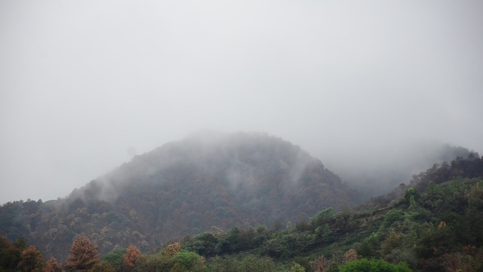 雨过天睛雨雾缭绕的重庆4A级风景区缙云山