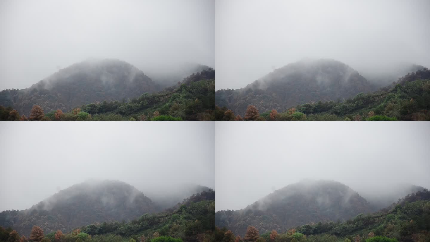 雨过天睛雨雾缭绕的重庆4A级风景区缙云山