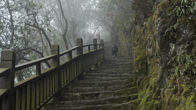 山道雾景