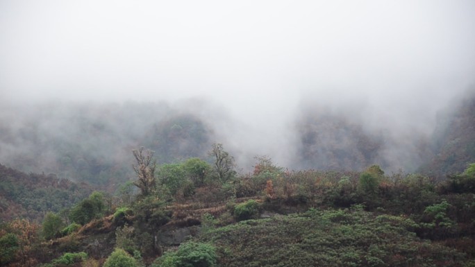 雨过天睛雨雾缭绕的重庆4A级风景区缙云山