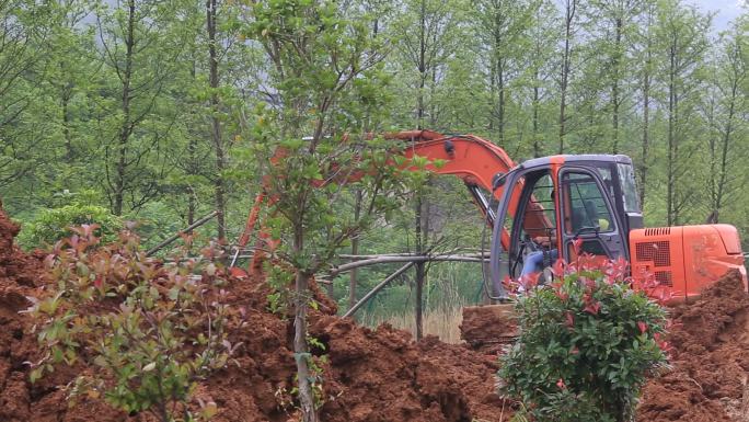 实拍道路公路绿化园林施工挖掘机挖土