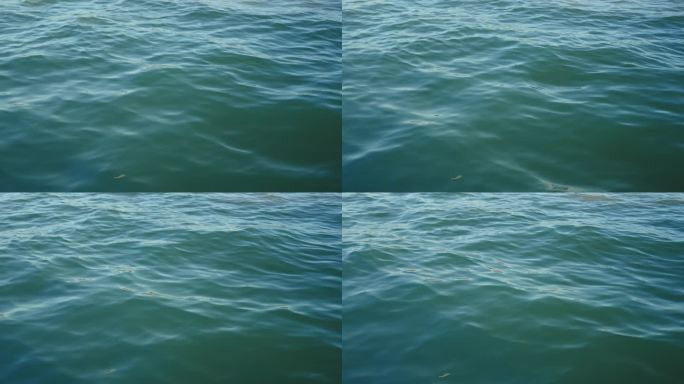 4k清澈的水面波纹