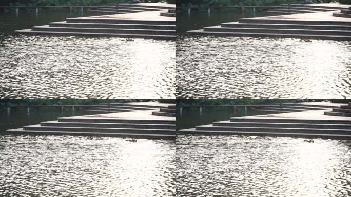 江南水乡水面公园湖面临水台阶波光粼粼实拍