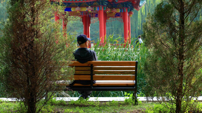 孤独的晚年生活公园老人坐在长椅上
