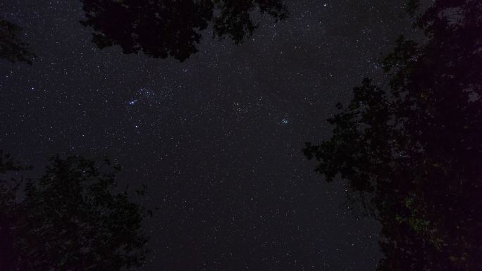 森林中的星空消逝星光闪闪夜空星空唯美粒子