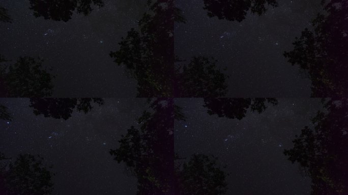 森林中的星空消逝星光闪闪夜空星空唯美粒子