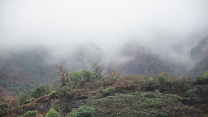 雨过天睛雨雾缭绕的重庆4A级风景区缙云山