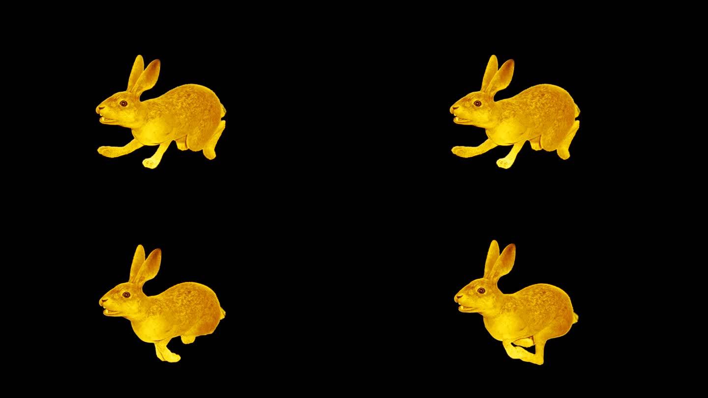 玉兔奔跑路径动画2
