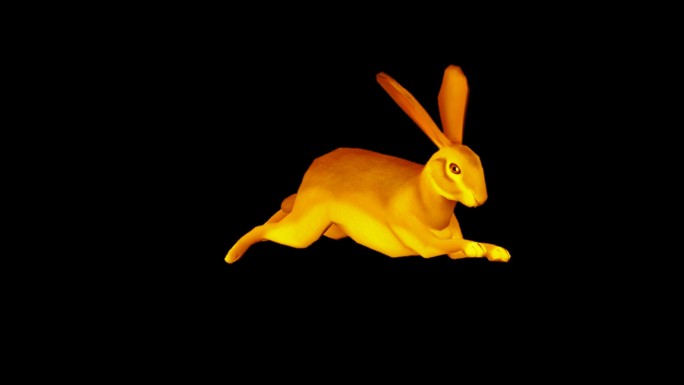 玉兔奔跑路径动画