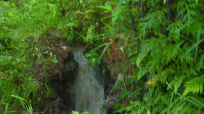 山间沟壕水渠流水