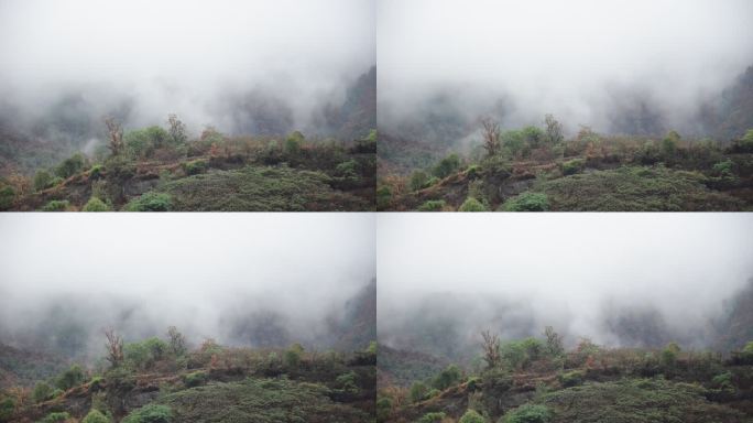 雨过天睛雨雾缭绕的重庆4A级风景区缙云山