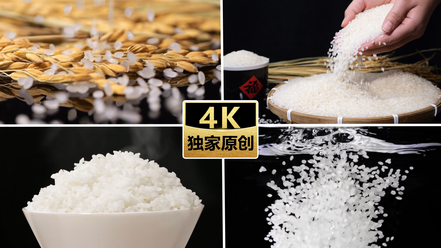 大米稻谷米饭粮食