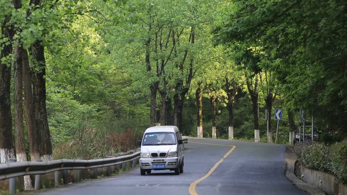 浙江山区道路行道树树荫柏油路面包车护栏