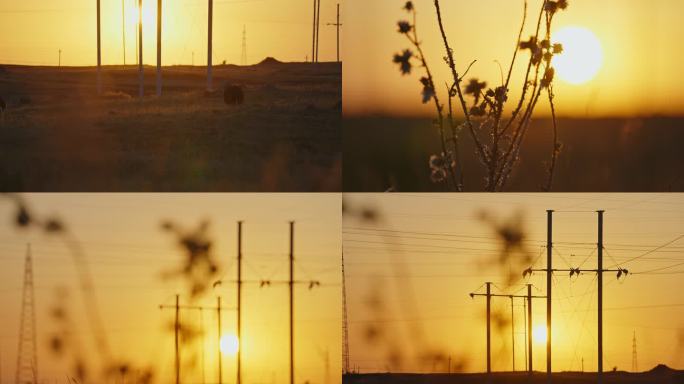 草原夕阳风电新能源空镜