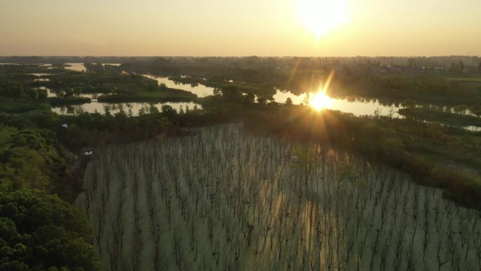 扬州北湖湿地公园航拍原创4K日出日落