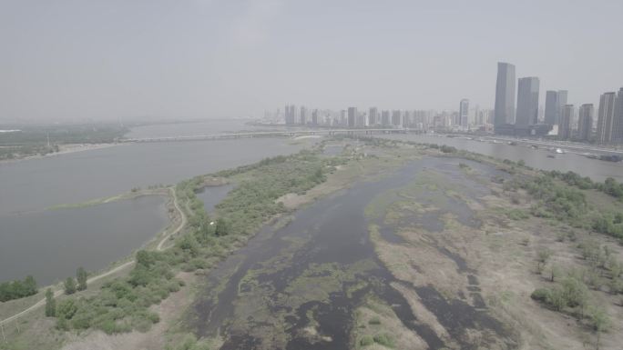 【4K】群力外滩生态湿地