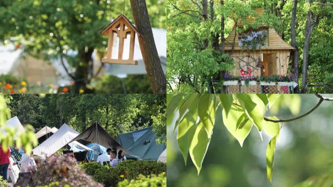 阳光下的露营基地-帐篷4