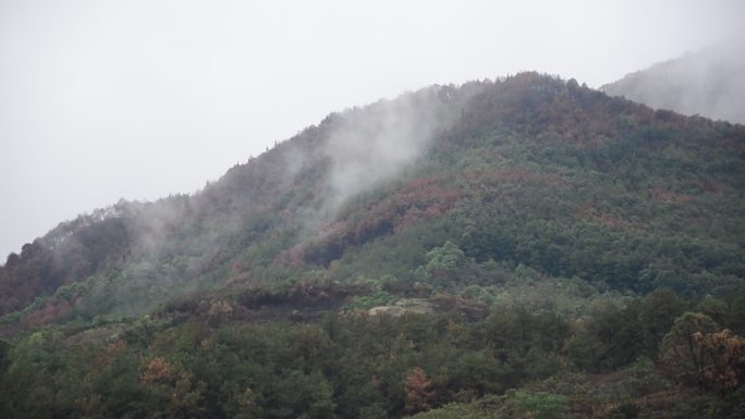 雨过天睛雨雾缭绕的重庆4A级风景区缙云山