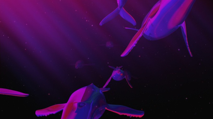 鲸鱼圈颜色01海底鱼动画灯光秀