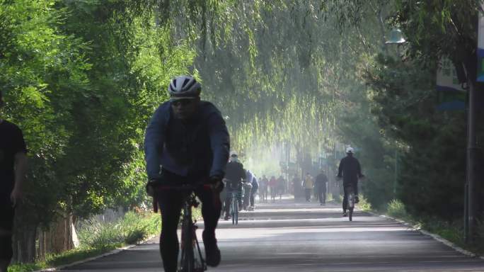 公园早晨跑步骑行锻炼身体跑步散步晨练