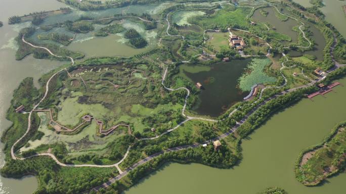 扬州 北湖湿地公园  航拍 原创 4K
