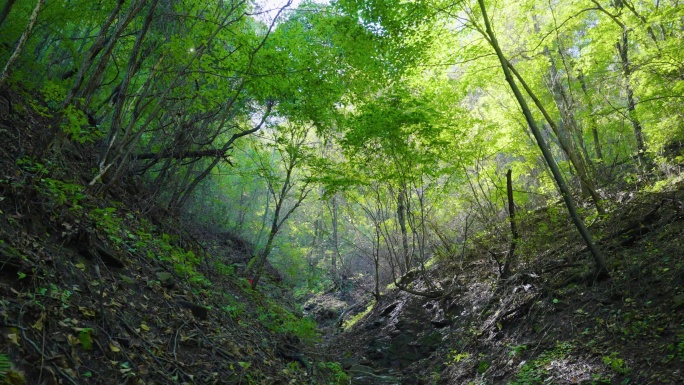 4k通往山顶的路登山爬山向往希望