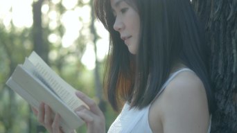 女孩在树林看书阅读文艺唯美视频视频素材