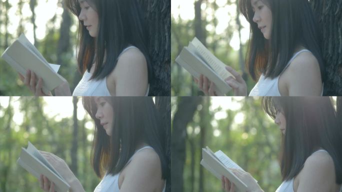 女孩在树林看书阅读文艺唯美视频
