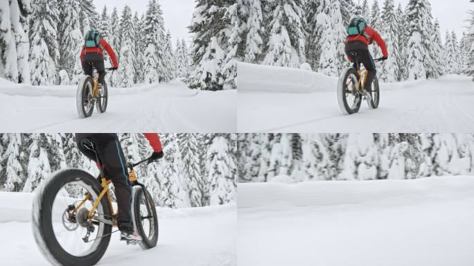 男子胖自行车穿越积雪的风景