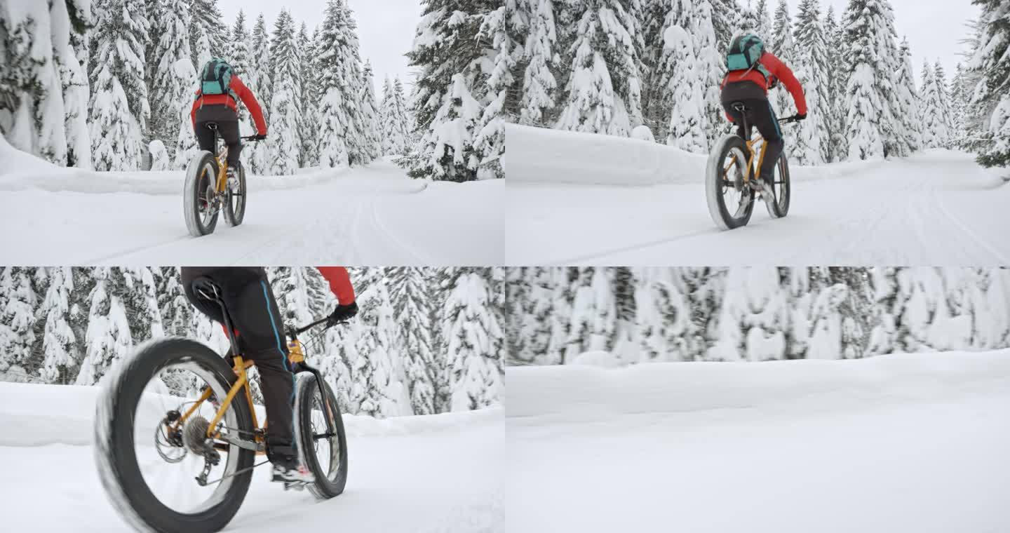 男子胖自行车穿越积雪的风景