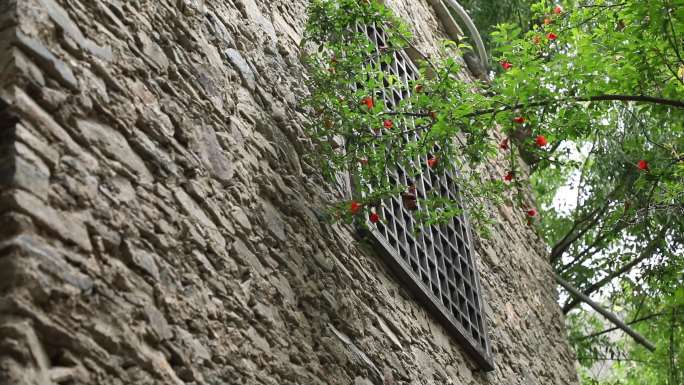 阿坝州 土墙 绿叶 石墙 木窗