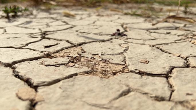 干旱土地特写素材土地开裂水位下降