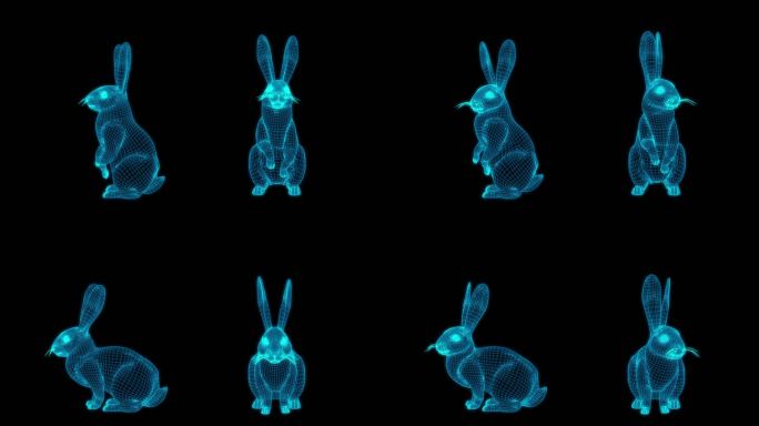 蓝色全息线框兔子动画素材带通道