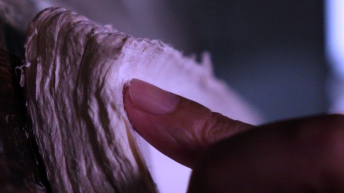 传统工艺 宣纸制造 传统造纸 纸制品生产线