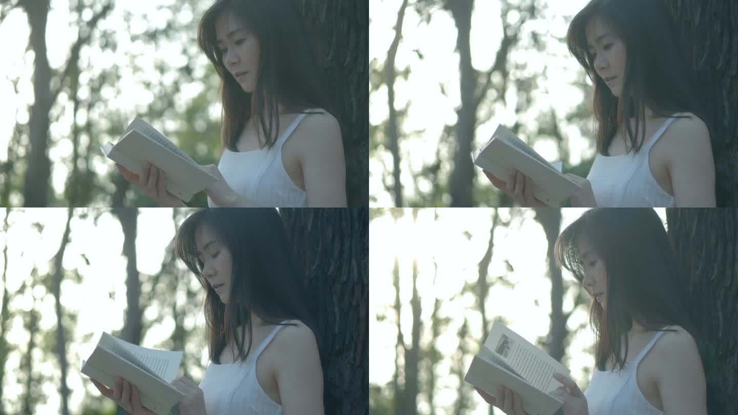 女孩靠在树上看书的侧脸