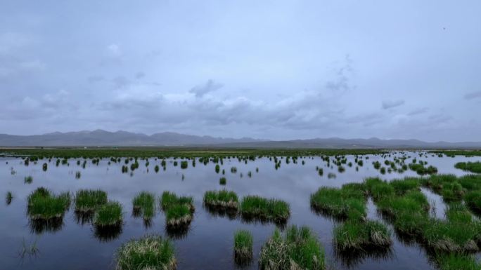 阿坝州 延时 湿地 4k 草原