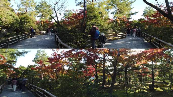 日本 金阁 鹿苑寺