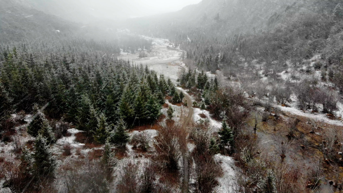 德钦县北贡卡山林大雪航拍4K素材