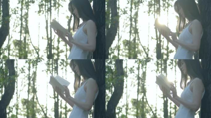 女孩在逆光的树林里看书