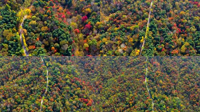 4k航拍中国山脉红叶秋季山林