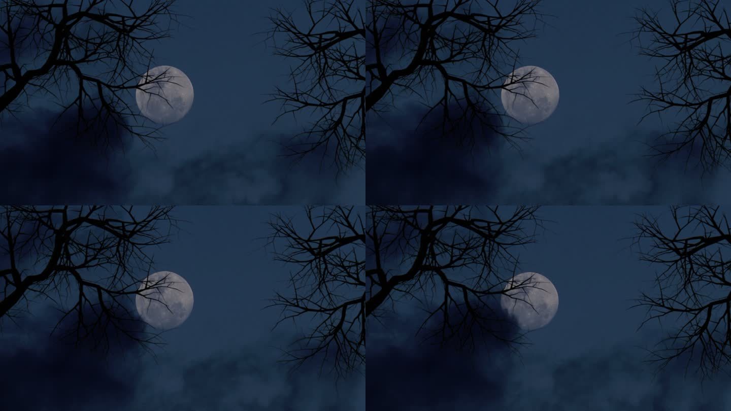 4K树影枯树月亮晚上动态背景